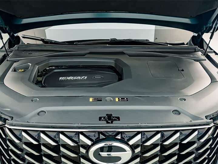 Trumpchi GS8 2022 2.0 TGDI 2 WD ( ) — фото 25
