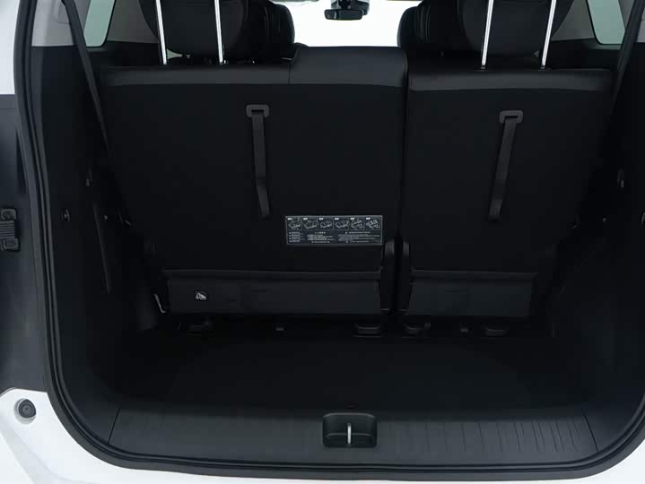 Trumpchi M8 2024 Hybrid — фото 16