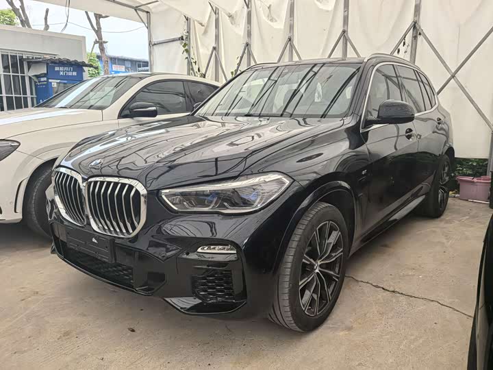 BMW X 5 2019 x Drive 30i M