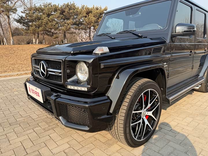 Mercedes-Benz G-Class 2016 AMG G 63 Edition 463 — фото 3