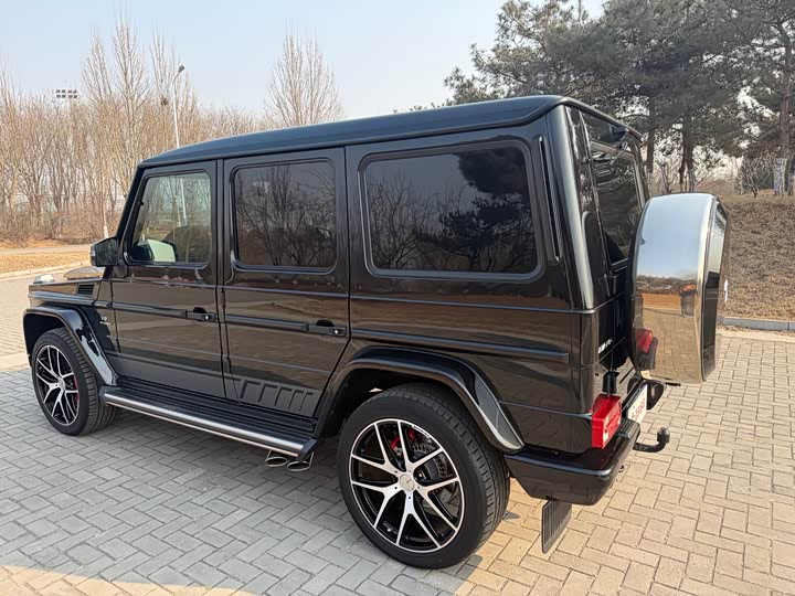 Mercedes-Benz G-Class 2016 AMG G 63 Edition 463 — фото 8