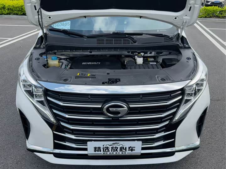 Trumpchi M8 2024 390 T — фото 25