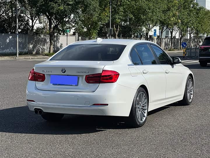 BMW 3-Series 2019 320 Li — фото 11