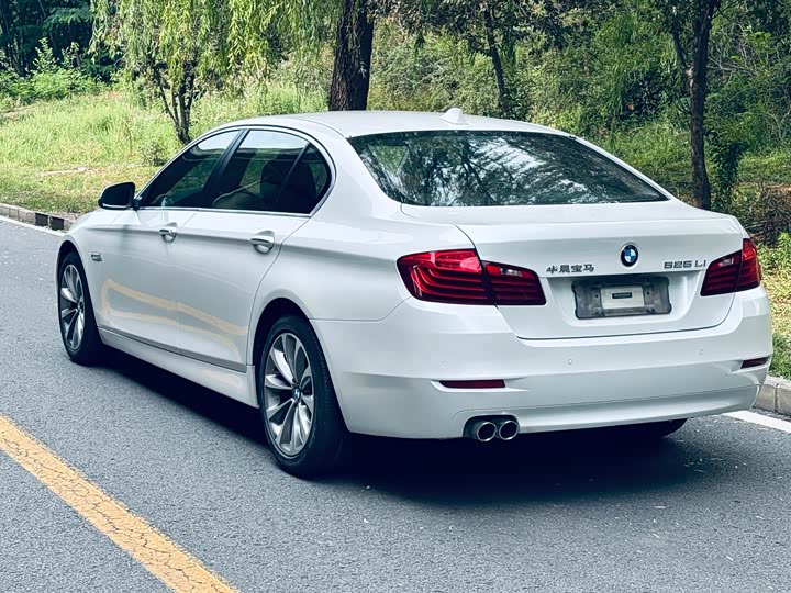 BMW 5-Series 2017 525 Li Leading — фото 5