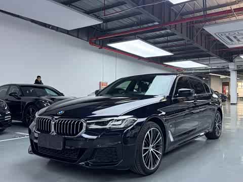 BMW 5-Series 2021 530 Li Leading M — фото 20