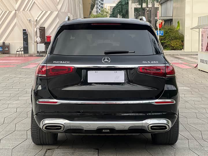 Maybach GLS 2021 GLS 480 4 MATIC — фото 5