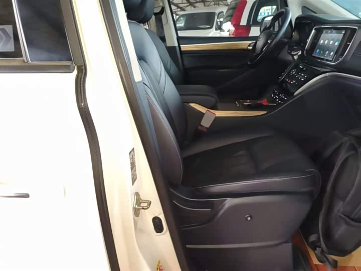 Trumpchi M8 2020 390 T — фото 25