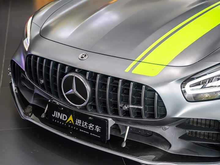 Mercedes-Benz AMG 2019 AMG GT R PRO — фото 6