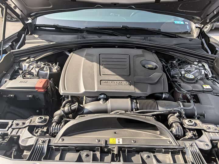 Jaguar F-PACE 2024 P 250 R-Dynamic HSE — фото 13