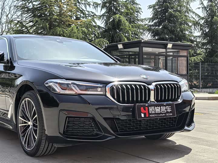 BMW 5-Series 2022 530 Li Leading M — фото 22