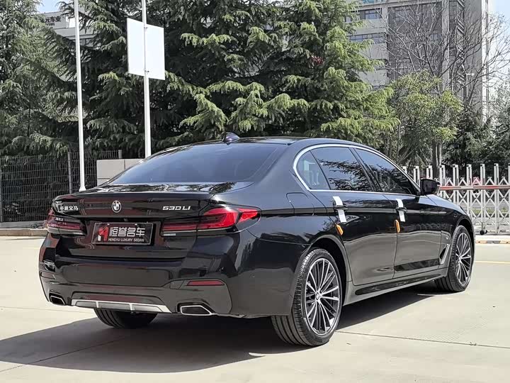 BMW 5-Series 2022 530 Li Leading M — фото 24