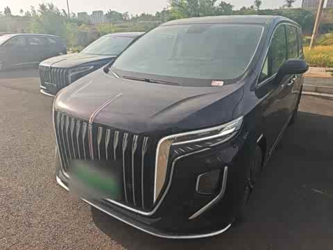 Hongqi HQ9 PHEV 2024 2.0 T 4 WD — фото 26