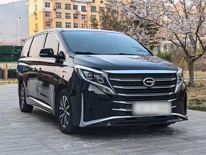 Trumpchi M8 2023 390 T — фото 11