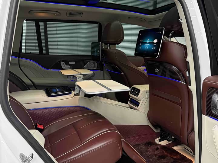 Maybach GLS 2021 GLS 480 4 MATIC — фото 18