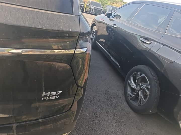 Hongqi HS7 PHEV 2024 2.0 T PHEV 4 WD 7 — фото 8