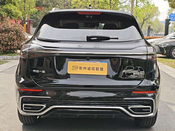Hongqi HS5 2023 2.0 T Pro — фото 7