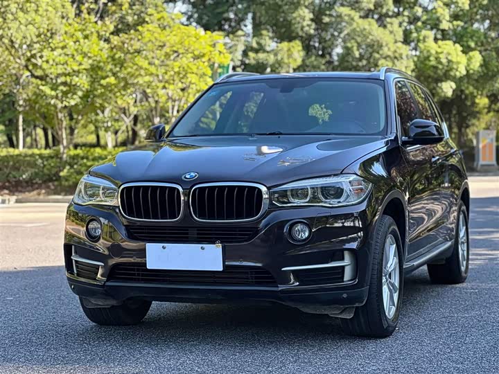 BMW X5 2014 x Drive 35i Leading — фото 1