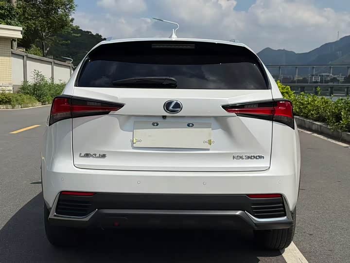 Lexus NX 2020 300h V — фото 11