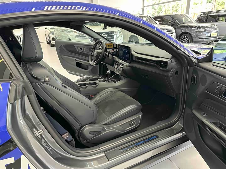 Ford Mustang 2024 5.0 L V 8 Dark Horse — фото 10