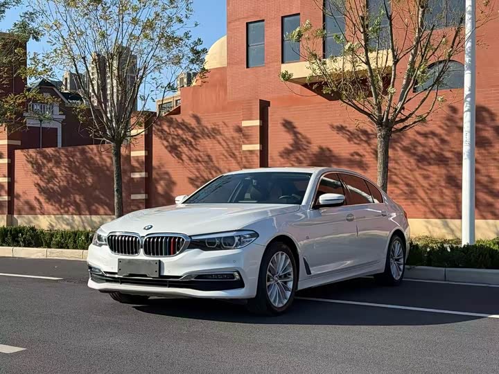 BMW 5-Series 2019 530 Li Leading