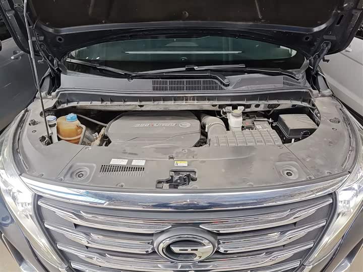 Trumpchi M8 2020 390 T — фото 20
