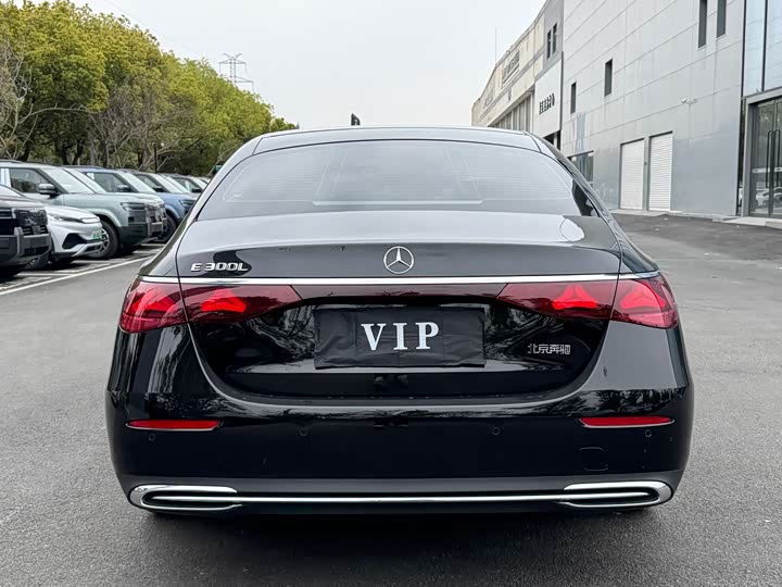 Mercedes-Benz E-Class E 300 L стиль — фото 14