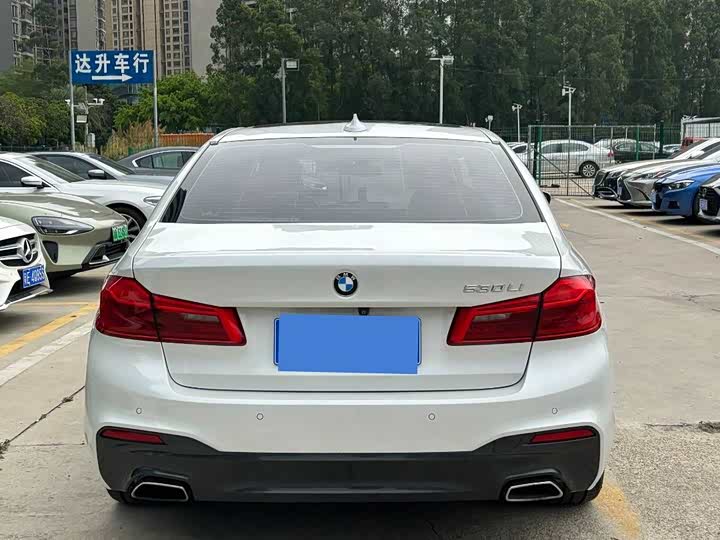 BMW 5-Series 2019 530 Li Leading M — фото 7