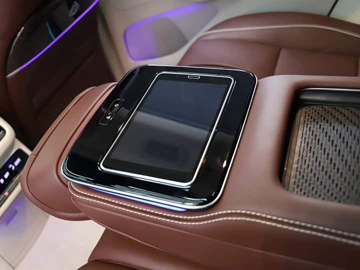 Maybach GLS 2021 GLS 480 4 MATIC — фото 13