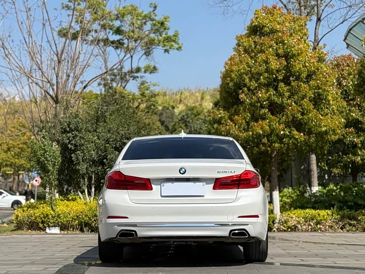 BMW 5-Series 2019 530 Li Leading — фото 8