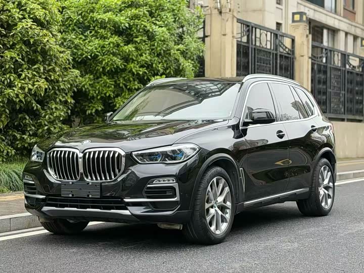 BMW X 5 2019 x Drive 30i X