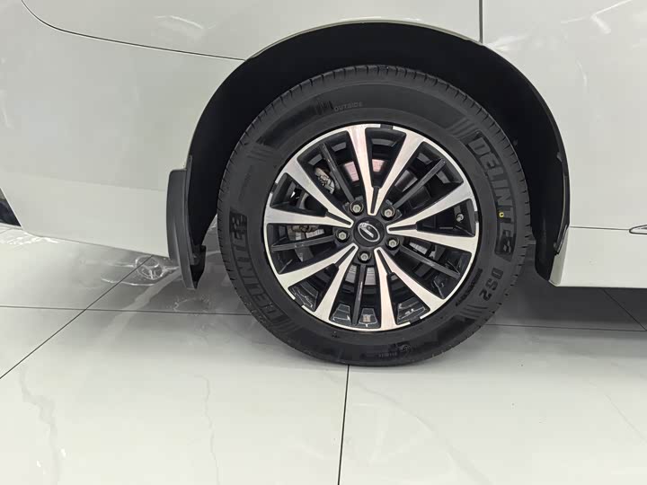 Trumpchi M8 2023 390 T — фото 20