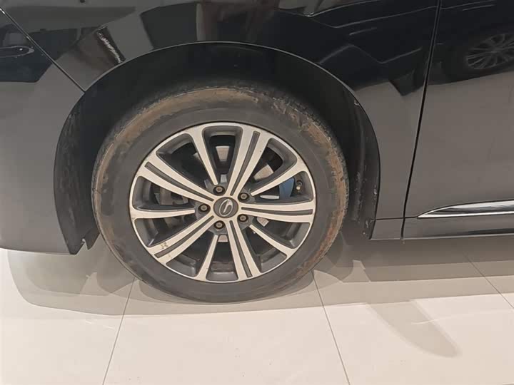 Trumpchi M8 2020 390 T — фото 23