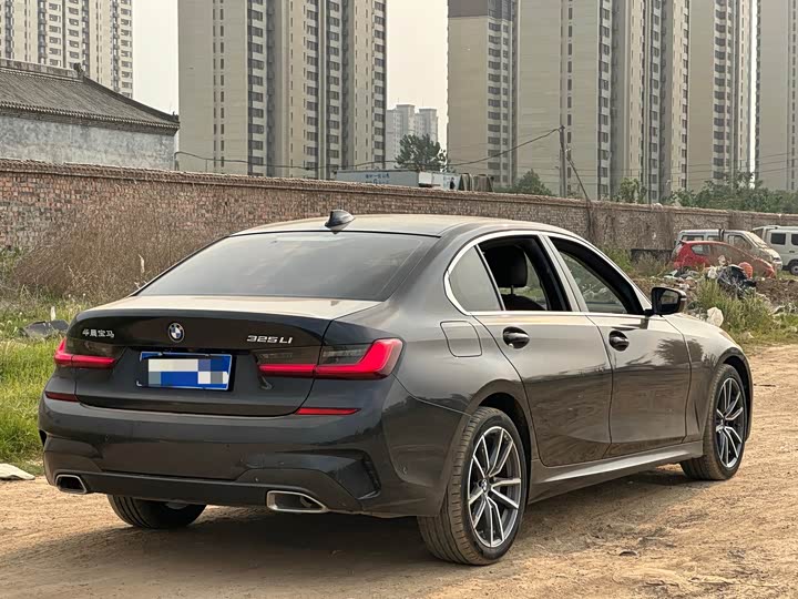 BMW 3-Series 2020 325 Li — фото 10