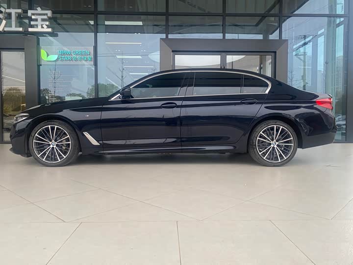 BMW 5-Series 2020 530 Li Leading M — фото 14