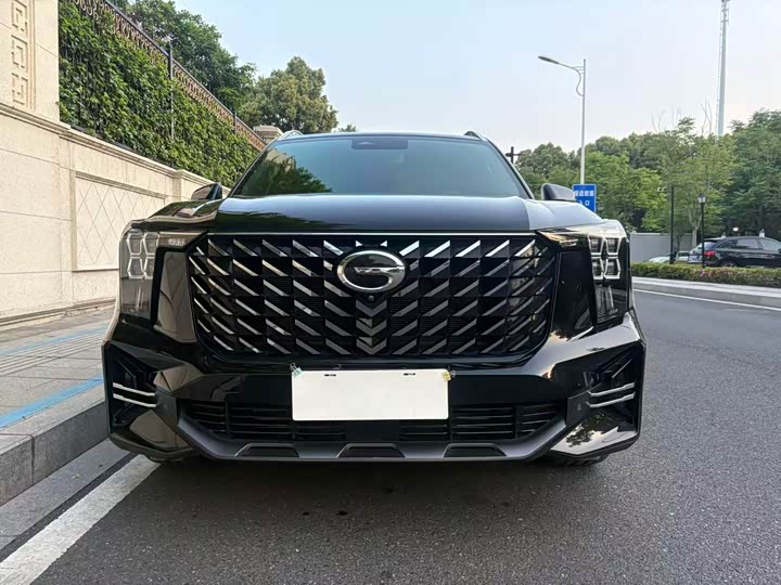 Trumpchi GS8 2022 2.0 TGDI 2 WD ( ) — фото 2