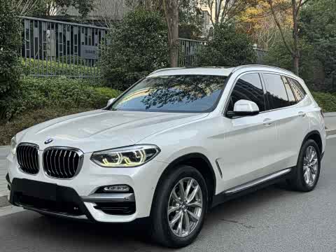 BMW X3 2018 x Drive 25i V — фото 10