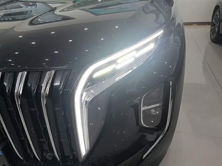 Hongqi HS7 PHEV 2024 2.0 T PHEV 4 WD 6 — фото 24