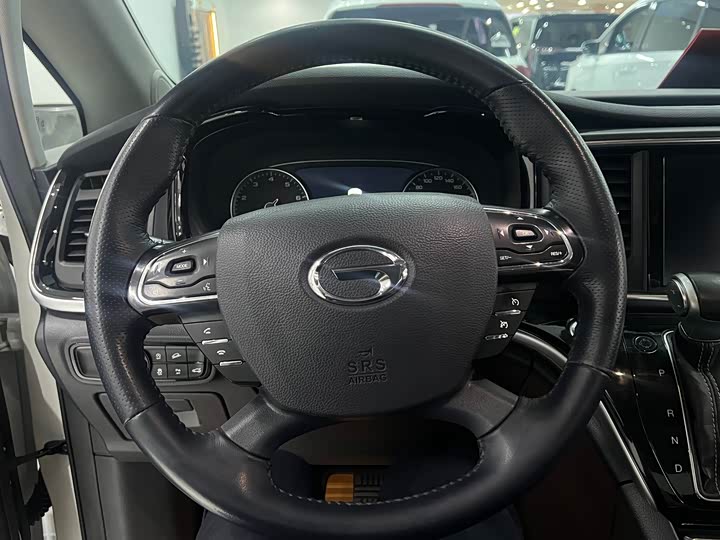 Trumpchi M8 2020 390 T — фото 18