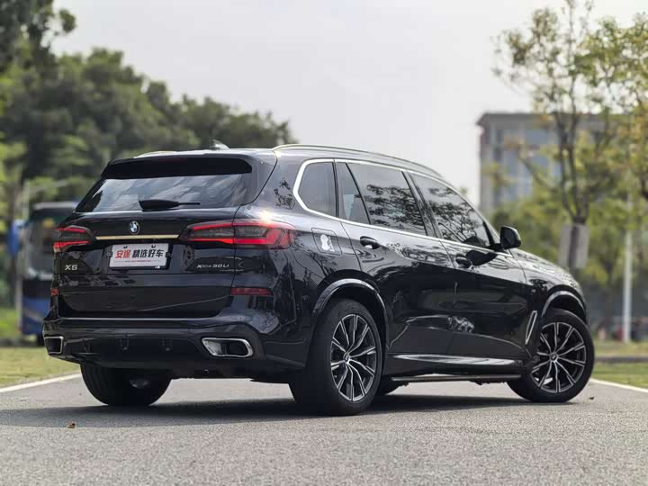 BMW X5 2022 x Drive 30 Li M — фото 3