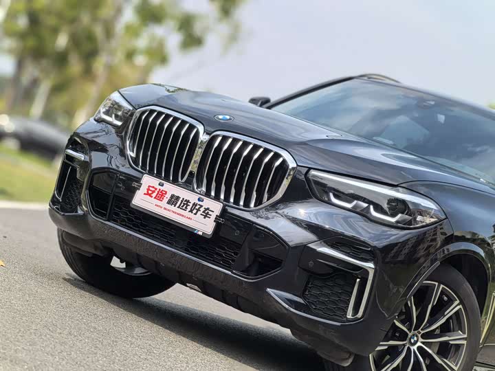 BMW X5 2022 x Drive 30 Li M — фото 5