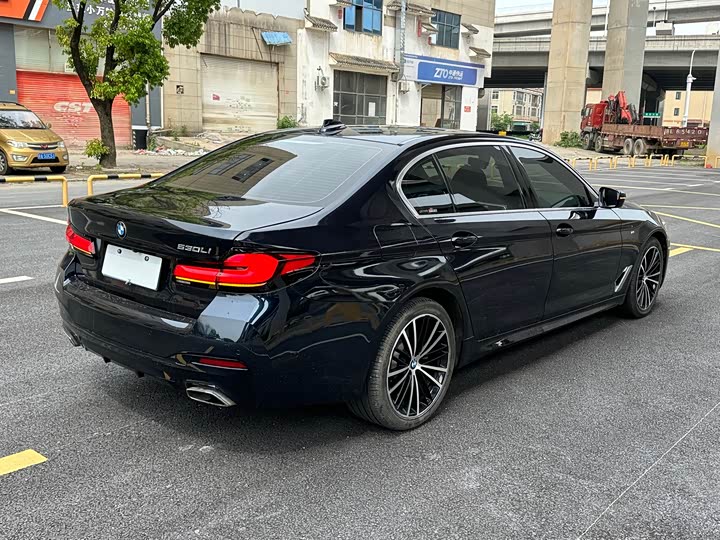 BMW 5-Series 2020 530 Li Leading M — фото 8