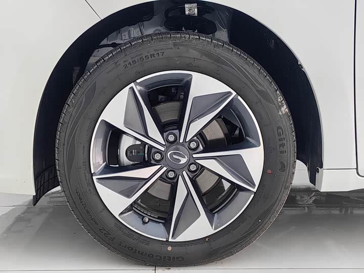 Trumpchi M6 2025 MAX 270 T WDCT — фото 16