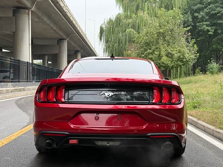 Ford Mustang 2021 2.3 T Eco Boost — фото 4