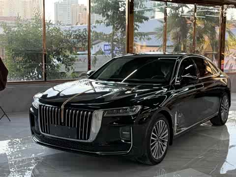 Hongqi H9 2020 2.0 T — фото 16