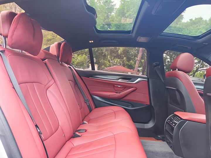 BMW 5-Series 2019 530 Li Leading M — фото 9