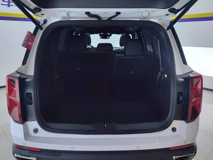 Trumpchi GS8 2024 2.0 TGDI 2 WD 7 — фото 4