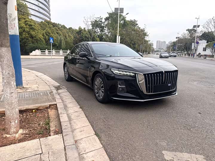 Hongqi H5 2023 1.5 T DCT — фото 3
