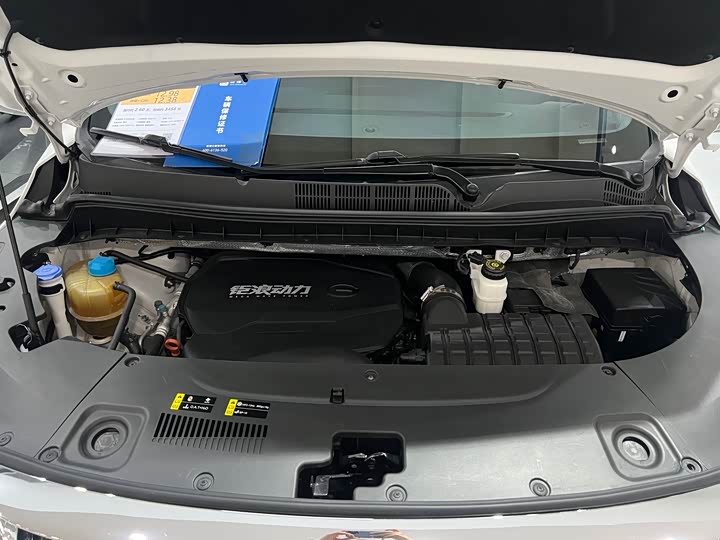 Trumpchi M8 2021 390 T — фото 19