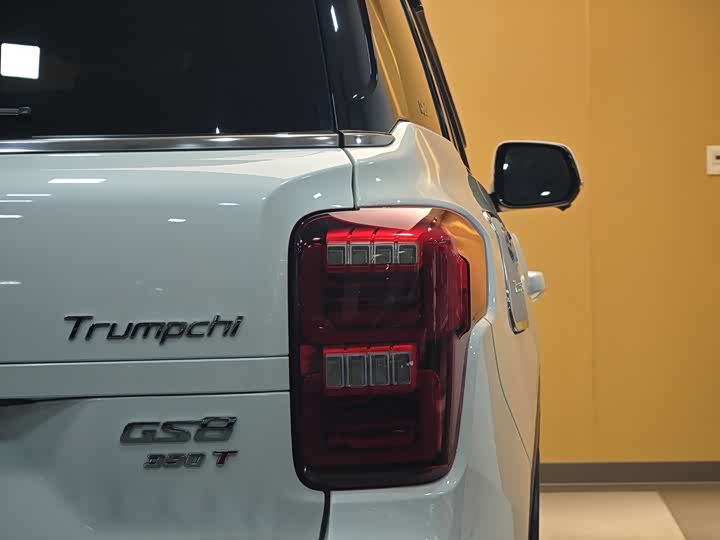 Trumpchi GS8 2020 390 T 2 WD ( ) — фото 27
