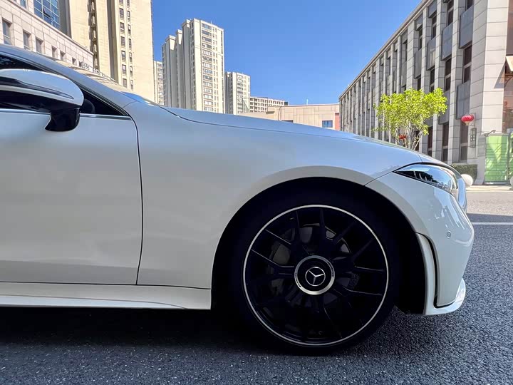 Mercedes-Benz CLS 2021 CLS 300 Luxury — фото 10